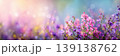 Beautiful Nature. Art Flowers web banner. Creative Spring Background. Sky Incredibly Fantasy design. Modern Magic Artistic Natural Wallpaper. Dream, line. Pure clean. Blue Purple Pink Color. Soft Card 139138762