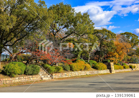 Beautiful Alley, pedestrian path along the tree Full of fallen leaves in garden during autumn. Beautiful Alley, pedestrian path along the tree Full of fallen leaves in garden during autumn. 139139061