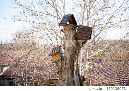 Wooden birdhouses mounted on a tree trunk in a garden with bare branches and residential buildings in background under daylight. Wildlife shelter, nature, environment Wooden birdhouses mounted on a tree trunk in a garden with bare branches and residential buildings in background under daylight. Wildlife shelter, nature, environment 139139078