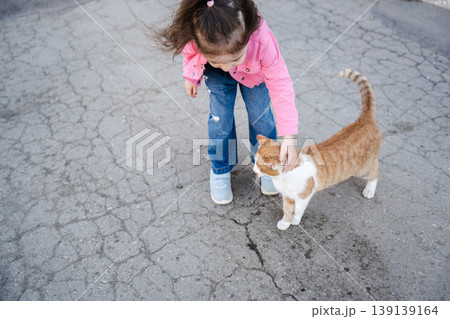 Little girl in pink jacket petting orange cat on pavement in residential yard from top view. Concept of childhood interaction with animals and care Little girl in pink jacket petting orange cat on pavement in residential yard from top view. Concept of childhood interaction with animals and care 139139164