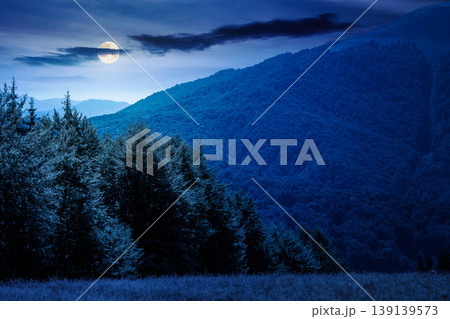 mountainous landscape in summer at night. picturesque highland woods. full moon over grassy meadow. view of carpathian mountains countryside with deciduous forest on a hill behind the pasture mountainous landscape in summer at night. picturesque highland woods. full moon over grassy meadow. view of carpathian mountains countryside with deciduous forest on a hill behind the pasture 139139573
