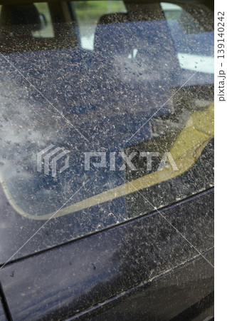 黄砂で汚れた車 黄砂で汚れた車 139140242