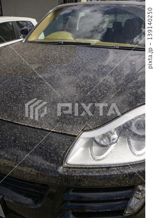 黄砂で汚れた車 黄砂で汚れた車 139140250