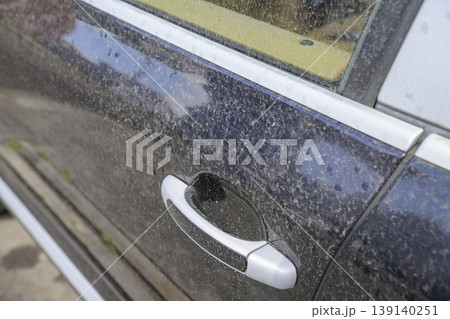 黄砂で汚れた車 黄砂で汚れた車 139140251