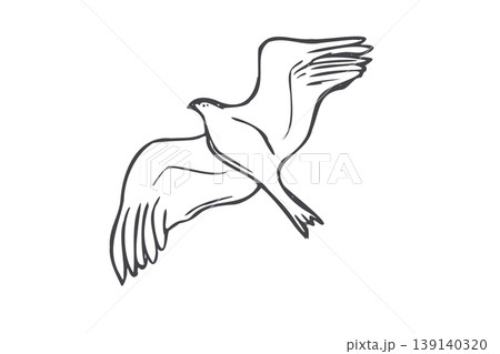 Hand drawn flying bird contour sketch. Minimalist line art isolated illustration of wild seagull in flight. Simple black outline drawing for design, tattoo, nautical theme. Birdwatching concepts. Hand drawn flying bird contour sketch. Minimalist line art isolated illustration of wild seagull in flight. Simple black outline drawing for design, tattoo, nautical theme. Birdwatching concepts. 139140320