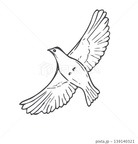 Flying bird illustration. Simple sketch of dove silhouette in flight. Minimalist outline drawing of animal in motion. Concept of freedom and peace for creative design and art project. Flying bird illustration. Simple sketch of dove silhouette in flight. Minimalist outline drawing of animal in motion. Concept of freedom and peace for creative design and art project. 139140321