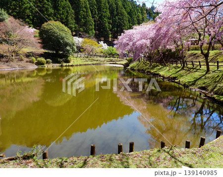 神奈川県松田町　最明寺史跡公園の絶景 139140985