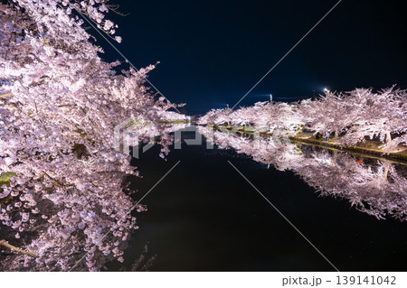 弘前公園 さくらまつりの夜桜 弘前公園 さくらまつりの夜桜 139141042