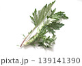 新鮮なヨモギの葉 139141390