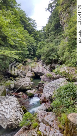 雄大な自然_渓谷・峡谷を囲む木々 雄大な自然_渓谷・峡谷を囲む木々 139141479