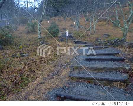 立雲峡の登山道(兵庫県朝来市) 立雲峡の登山道(兵庫県朝来市) 139142145
