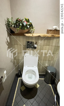 Modern Toilet Interior Bathroom Design Minimal Space 139142241