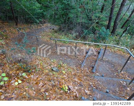 立雲峡の登山道(兵庫県朝来市) 立雲峡の登山道(兵庫県朝来市) 139142289