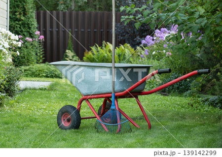 Empty wheelbarrow with rake on lawn gardening tools backyard concept 139142299