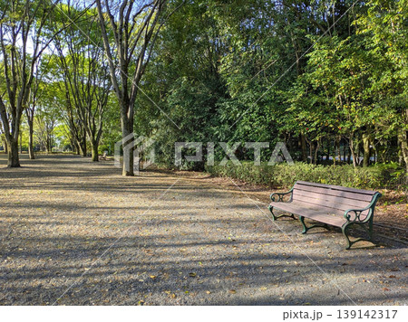 木漏れ日差し込む公園の並木道と空のベンチ 緑豊かな初夏の風景 栃木 木漏れ日差し込む公園の並木道と空のベンチ 緑豊かな初夏の風景 栃木 139142317