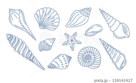 Line art set illustration of various seashells and starfish, ocean and sea theme Line art set illustration of various seashells and starfish, ocean and sea theme 139142427