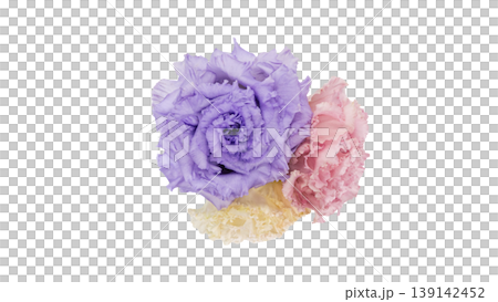 Lisianthus bouquet, transparent background, macro, flower material Lisianthus bouquet, transparent background, macro, flower material 139142452