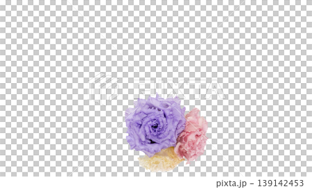 トルコキキョウの花束 背景透過 マクロ フラワー素材 トルコキキョウの花束 背景透過 マクロ フラワー素材 139142453