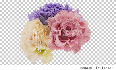 Lisianthus bouquet, transparent background, macro, flower material Lisianthus bouquet, transparent background, macro, flower material 139142481