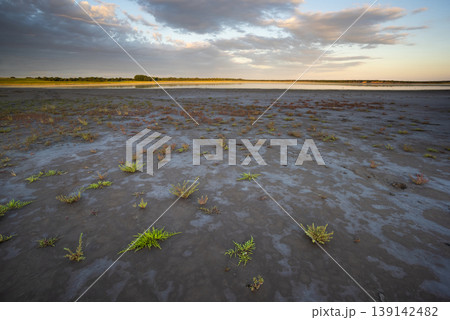 Desert soil in a dry lagoon, La Pampa province, Patagonia, Argentina. 139142482
