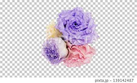 Four lisianthus flowers in purple, pink, and white. Macro photography of the flowers. Transparent background. Flower material. Four lisianthus flowers in purple, pink, and white. Macro photography of the flowers. Transparent background. Flower material. 139142487