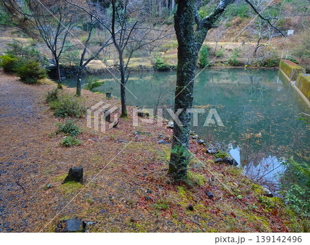 立雲峡のおおなるの池（大成池）　兵庫県朝来市 139142496