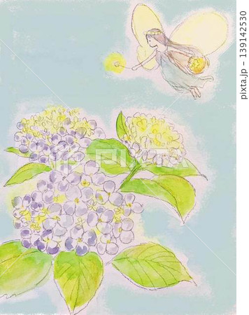 水彩で描いた紫陽花と妖精 水彩で描いた紫陽花と妖精 139142530