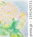 水彩で描いた紫陽花と妖精 139142531