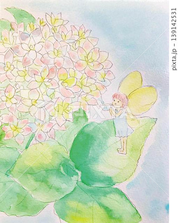 水彩で描いた紫陽花と妖精 水彩で描いた紫陽花と妖精 139142531