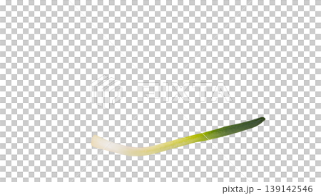 アサツキ 一本 ネギの仲間 野菜食材 マクロ撮影 背景透過 アサツキ 一本 ネギの仲間 野菜食材 マクロ撮影 背景透過 139142546