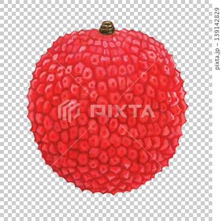 ライチのイラスト ライチのイラスト 139142829