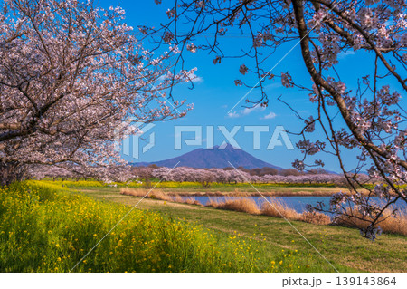 春の母小島遊水地から満開の桜と筑波山 春の母小島遊水地から満開の桜と筑波山 139143864