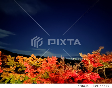 京都の紅葉ライトアップと夜景 京都の紅葉ライトアップと夜景 139144355