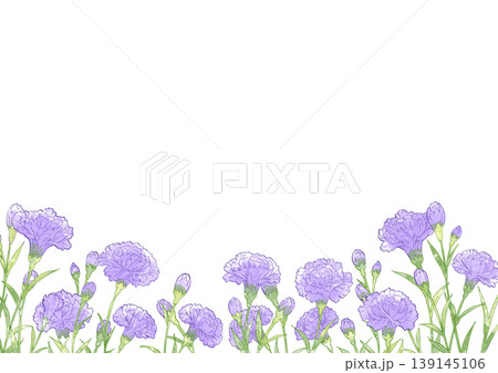 カーネーションの花畑 背景 カーネーションの花畑 背景 139145106