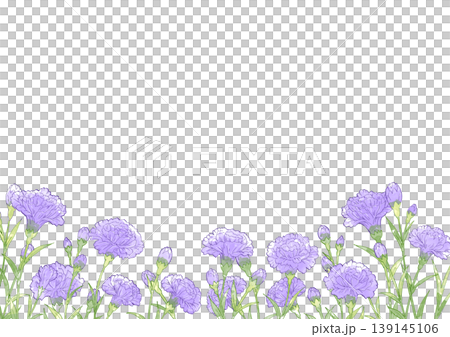 カーネーションの花畑 背景 カーネーションの花畑 背景 139145106