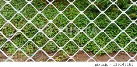 White iron fence with diamond pattern White iron fence with diamond pattern 139145163