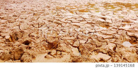 Cracked dry mud texture with shallow puddles of water in the cracks Cracked dry mud texture with shallow puddles of water in the cracks 139145168