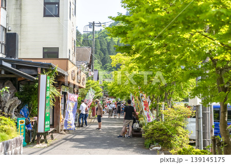 宮ヶ瀬湖畔園地の水の郷商店街と新緑の遊歩道 宮ヶ瀬湖畔園地の水の郷商店街と新緑の遊歩道 139145175