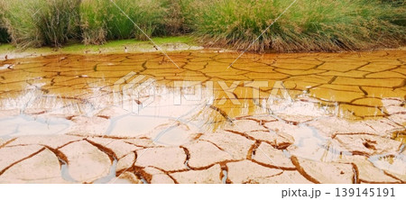 Dry mud background with puddles of water 139145191