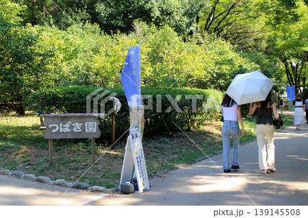 長居植物園のつばき園 139145508