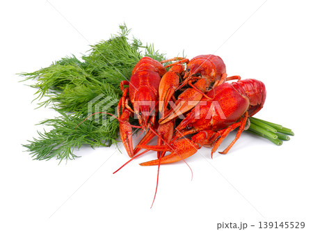 Three boiled red crayfish with fresh dill isolated on white background. Freshwater lobster or crawfish. 139145529
