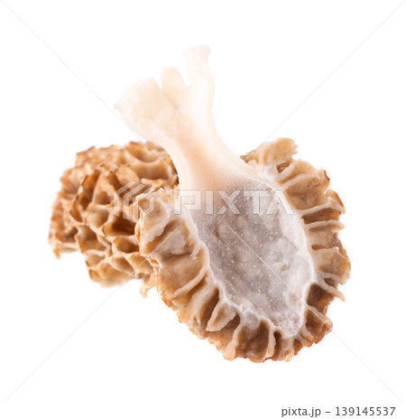 Morel mushroom isolated on white background. Morchella esculenta. Spring edible fungi. Clipping path. Morel mushroom isolated on white background. Morchella esculenta. Spring edible fungi. Clipping path. 139145537