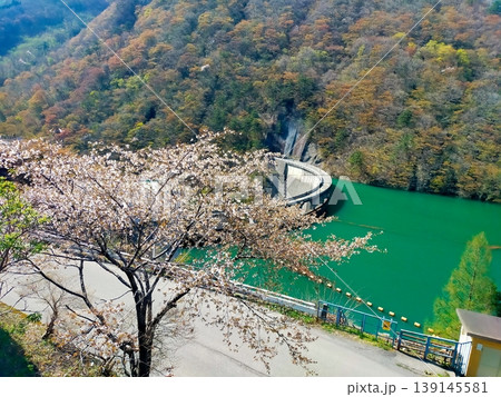 春の鳴子ダムの景観 春の鳴子ダムの景観 139145581
