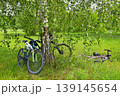 Bicycles under birch tree 139145654