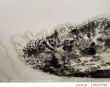 Mold growth on a white ceiling with visible water damage and humidity effects Mold growth on a white ceiling with visible water damage and humidity effects 139145784