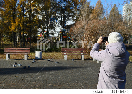 Person taking pictures of birds in a park during autumn with yellow trees in the background Person taking pictures of birds in a park during autumn with yellow trees in the background 139146480