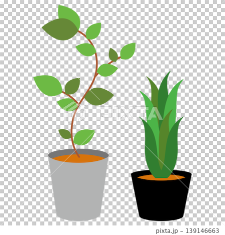 室內植物套裝:盆栽植物和綠色向量插圖素材 室內植物套裝:盆栽植物和綠色向量插圖素材 139146663