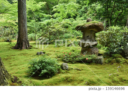 京都大原 三千院庭園 有清園(京都市左京区) 京都大原 三千院庭園 有清園(京都市左京区) 139146696