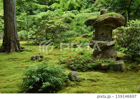 京都大原 三千院庭園 有清園(京都市左京区) 京都大原 三千院庭園 有清園(京都市左京区) 139146697