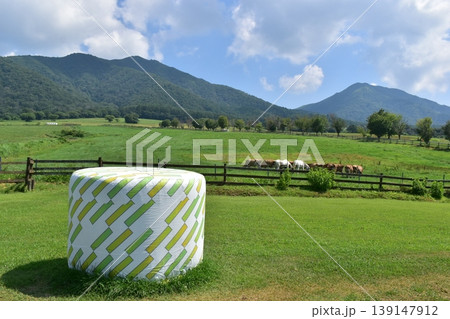 ひるぜんジャージーランド 岡山 牧場 牧草 ひるぜんジャージーランド 岡山 牧場 牧草 139147912